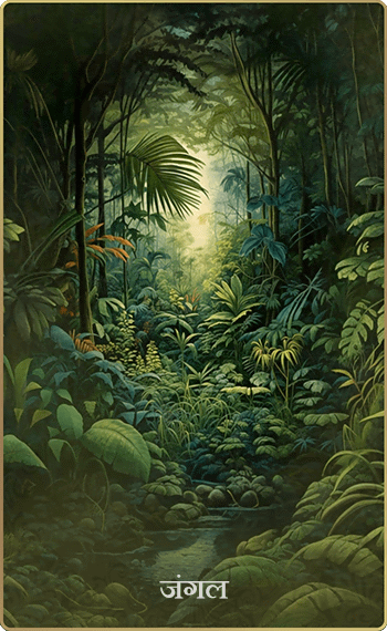 ƻʤ