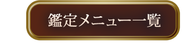 ˥塼