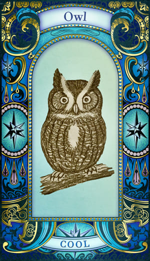 Owlʥե